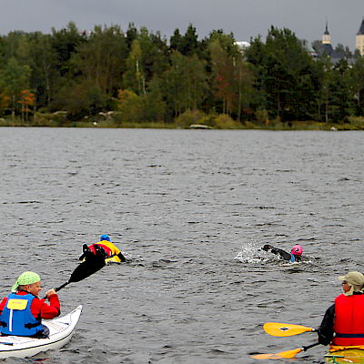 Norppauinti 2012