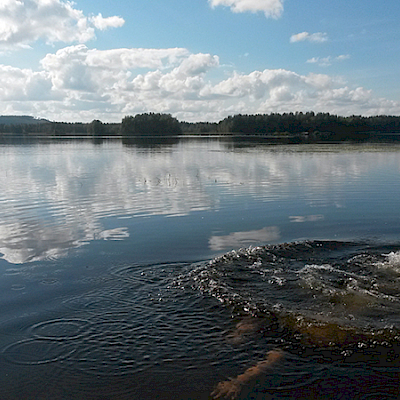 Vuoden uintiurheilukuva 2014 -kilpailu