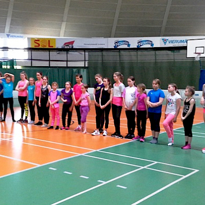 Taitouinnin suurleiri 2015