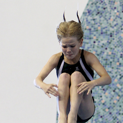 SM-uimahypyt 2011