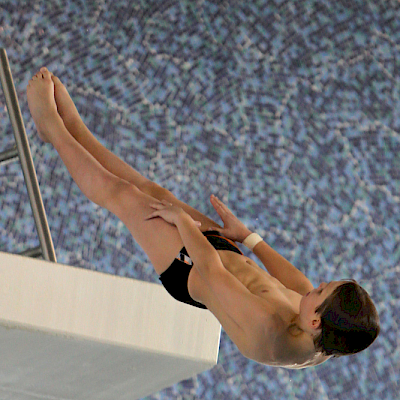 Hallimestaruuskilpailut 2011