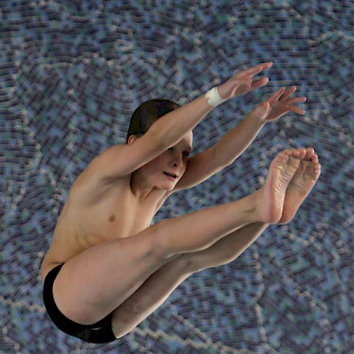 Hallimestaruuskilpailut 2011