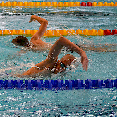 Rollo-uinnit, 3. pv 2012