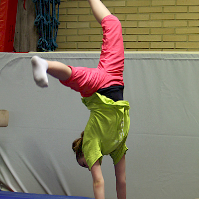 Rollo-leiri 2012